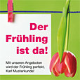 Sortiment Frühling D110