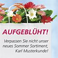 Sortiment Sommer D127