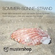 Sortiment Sommer D133